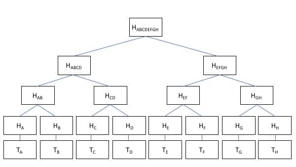 Merkle Tree showing all hashed transactions within a block in a blockchain ecosystem.