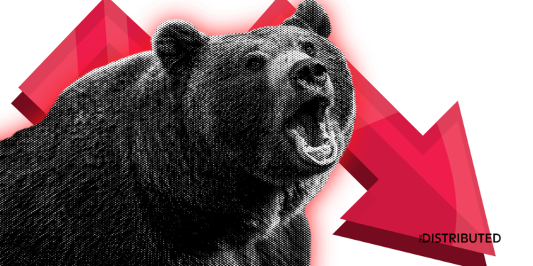 Crypto Bear Market