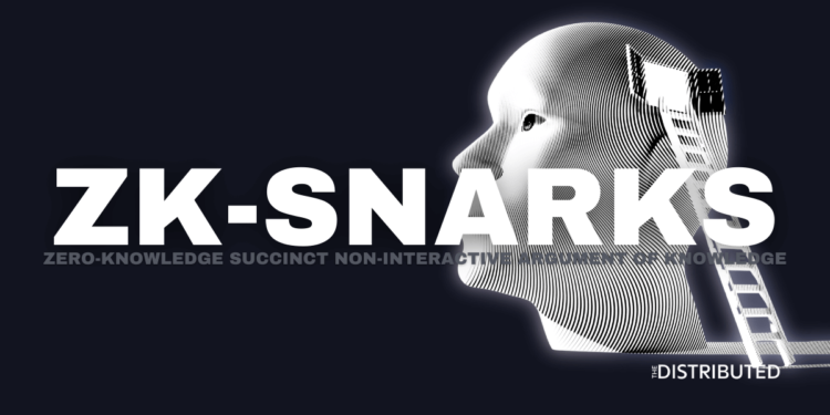 zk-SNARK: Zero-Knowledge Succinct Non-Interactive Argument of Knowledge