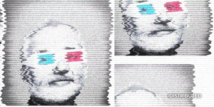 Bill Murray NFT Collection