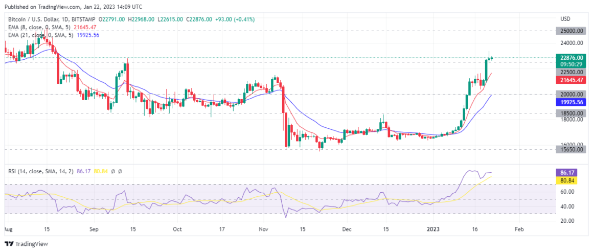 Bitcoin Technical Analysis on TradingView showing support and resistance indicators.