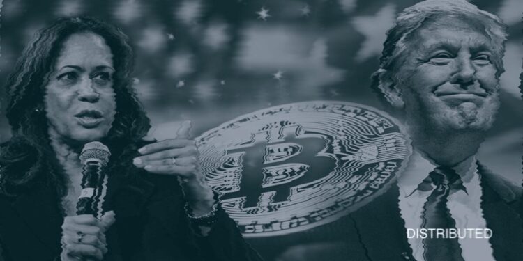 Trump Leads Harris On Polymarket