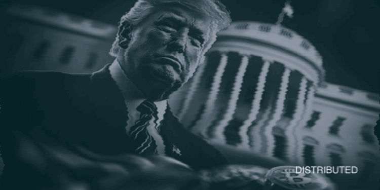 Donald Trump And Crypto Role