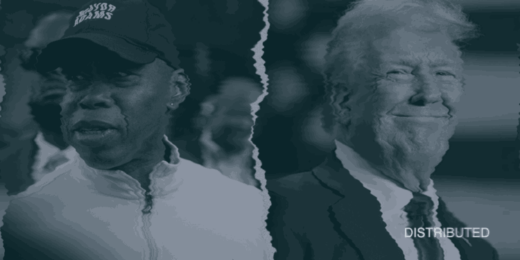 BitMEX Executives Receive Trump Pardon